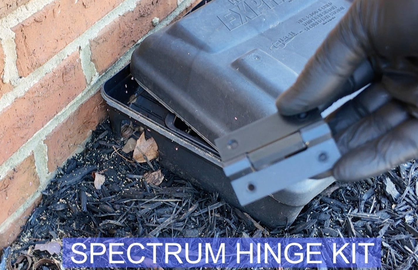 Spectrum Hinge Kit